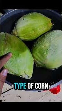 How agave syrup is made #shortvideo #trending #agave #corn #viralshorts #shorts #harvesting