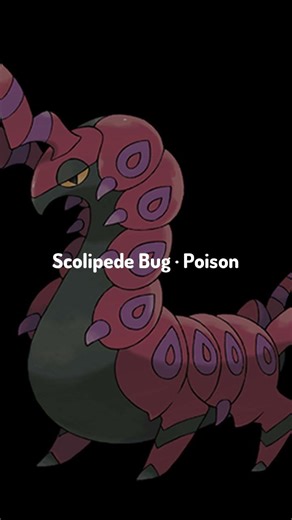 Scolipede Spotlight