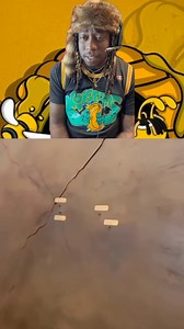 17K views · 90 reactions | Ever seen a tree so old it tells stories? Check out the rings, it’s wild! #historyfacts #trees #ancienttrees #interesting #confused #BC #Wow | DatBeasguy Gaming | Facebook