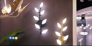 Quoizel Light Fixtures