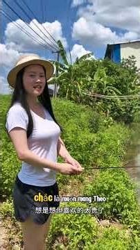 Tiếp tục đến sông Nile và được người đẹp dẫn tới phía sau trại cá cảnh bỏ hoang và có rất cá đẹp