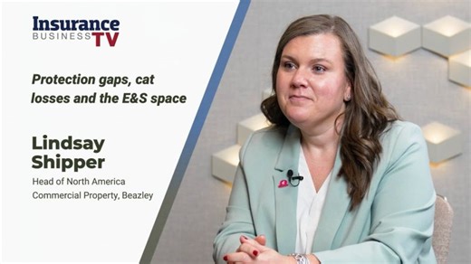 Protection gaps, cat losses and the E S space | Insurance Business America