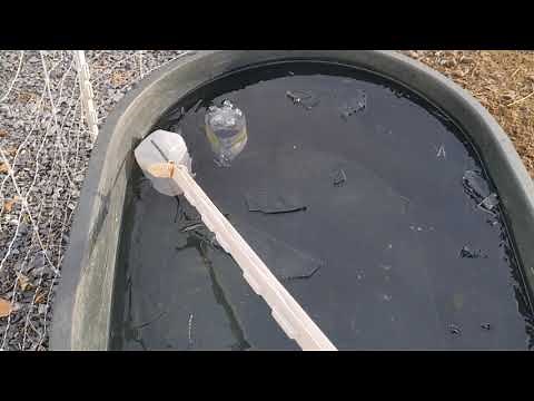 Do Milk Jugs with Salt Water Keep Your Trough Water from Freezing? Simple DIY Hack for Cold Weather