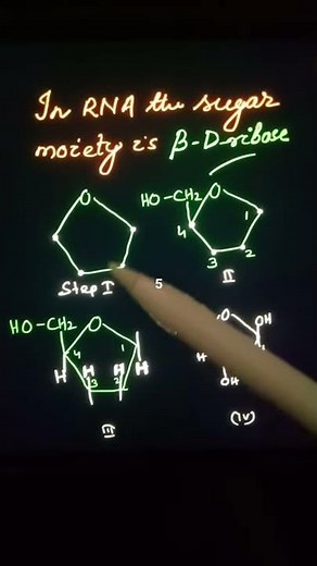 Steps to write the structure of Beta-D-ribose/ It is the sugar moiety in RNA/ Tushar Sir's Chemistry