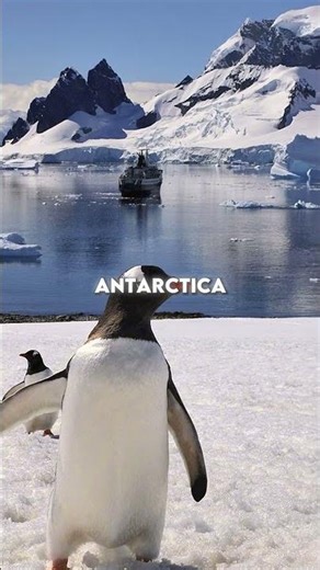 What Did Ancient Civilizations Know About Antarctica? - Graham Hancock