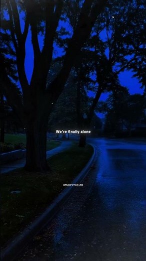 After Dark - Mr. Kitty | lyrics | aesthetic