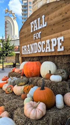 Oh my gourd, it's October! 🎃🍁🍂 | Grandscape Texas