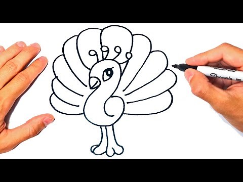 Cómo dibujar un Pavo Real paso a paso | Dibujo de Pavo Real