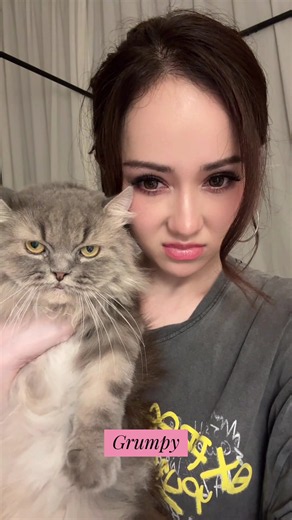 Grumpy cat Bubu — sweet grumpy-looking cat photos and video
