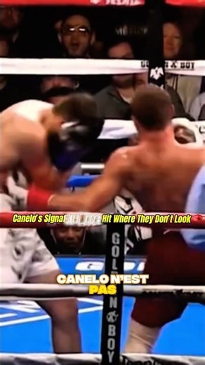 Canelo Alvarez Signature Move — The Perfect Body Shot Setup 🥊