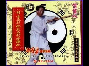 Hsing-I Fist Five 5 Elements Staff