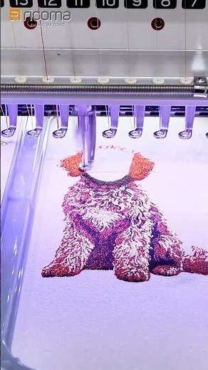 Single-Head Embroidery Machine Using Magnetic Hoop #fyp #ricoma #embroiderymachine