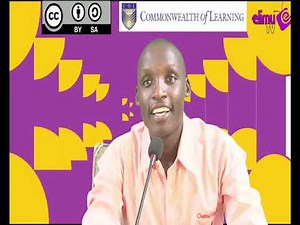 form 4 history ,structure of O A U, lesson 22