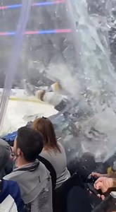 NHL player goes flying through the glass exploding it into pieces and landing in the crowd! #hockey #nhl #flying | RealSports.POV