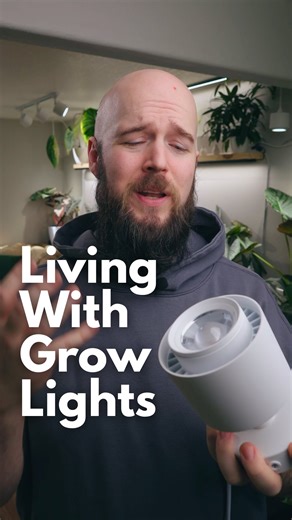 Patrick and Tiffany on Instagram: "Here are a couple of tips on how to make grow lights less annoying to live with in your home. Part of having healthy plants is having good light. If your home doesn’t have good lighting grow lights are the best solution to getting big healthy plants. However…. they are a sacrifice to be sure. #plantcare #plantcaretips #plants #growlight #growlights"