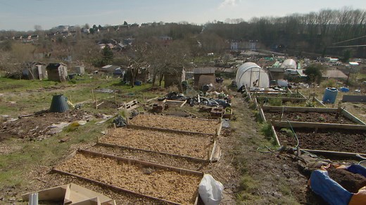 Starting an allotment