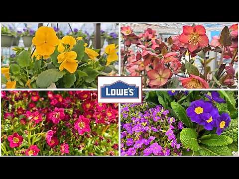 NEW at Lowe’s Garden Center | March 2026 Spring Plant Arrivals