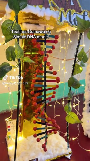 Creating a Simple DNA Model for School Projects