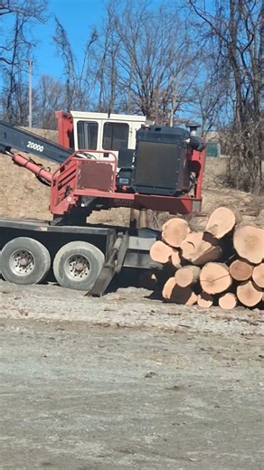 READY TO LOAD OUT . #timber #select #harvest #cut #hard #work #shorts #shortsfeed