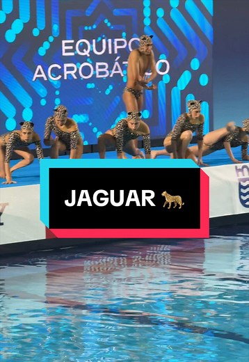 ‘Jaguar’ 🐆 Such an iconic performance by Team Mexico in the Open Acrobatics Final 🇲🇽 #ArtisticSwimming #worldcup #full #routine #Mexico