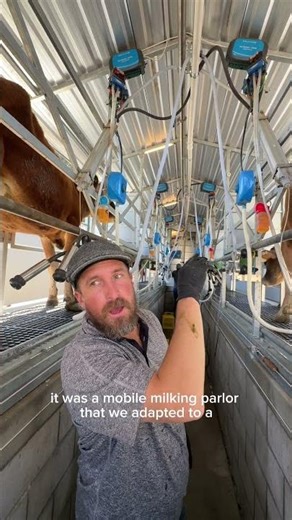 A little behind the scenes of our milking system