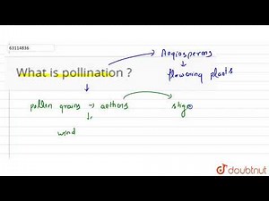 What is pollination ?