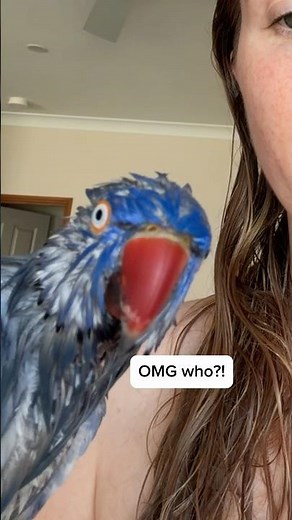 Glad he is feeling well enough to be a perv. #birds #baby #shower #morningroutine #funny