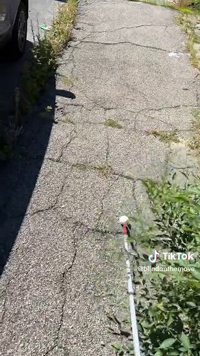 Mike Mulligan on TikTok