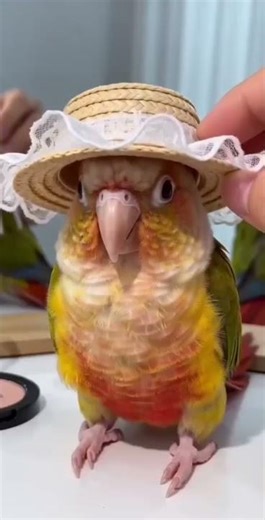 Spring Makeup Magic: Transform Your Look