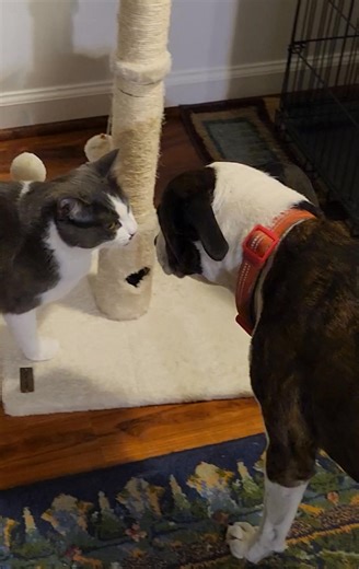 Suzanne Johnson on Reels