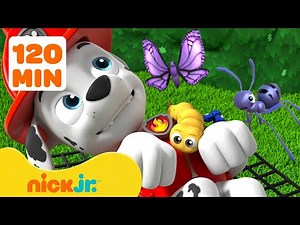 Спасения и приключения с ЖУКАМИ от Щенячьего патруля! 🐝 #2 | 2 часа | Nick Jr. Cyrillic