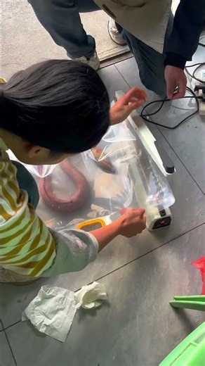 How Pro Machines Seal Seafood Packages Fast 🐟