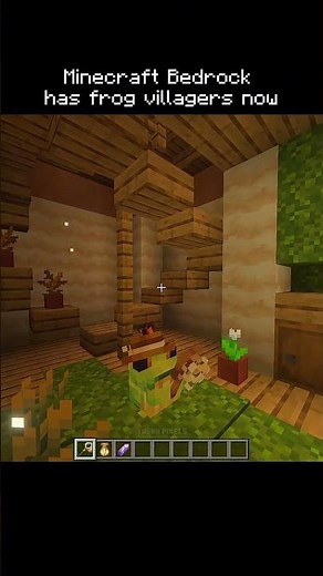Minecraft villages just got WAY cuter 🐸