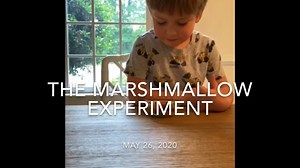 The Marshmallow Experiment