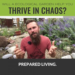 38K views · 42 reactions | Here is my secret experiment to prove to you that using permaculture to create a healthy homegrown sustainable life is key to creating confidence and assurance in strange times... | Perma Resilience | Facebook