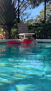 Surprise surprise, Benji had a blast in the pool! 💦 #cavapoo #mybuddybenji #dogsofinstagram #cutestdogever #mansbestfriend #cavapoopuppy | My Buddy Benji