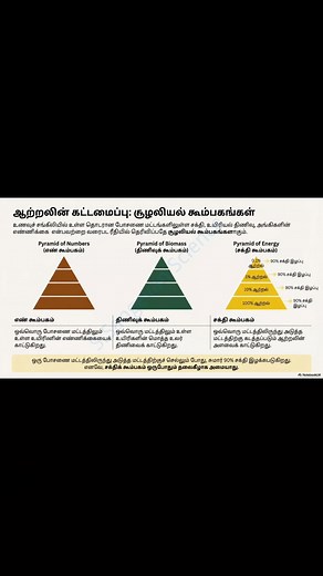 #தரம்11விஞ்ஞானம் #உயிர்கோளம் #Biosphere #gceolscience #grade11science | Science Atom