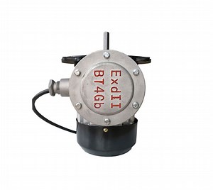 [Hot Item] Superior Flameproof AC Motor for Maximum Safety and Performance
