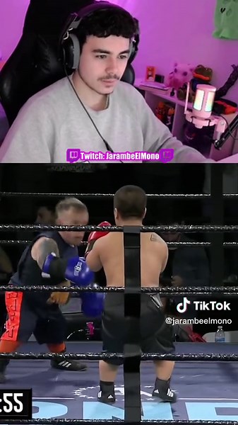 Pelea de Enanos en Stream #boxeo #enano #humor #meme #twitch #jarambeelmono