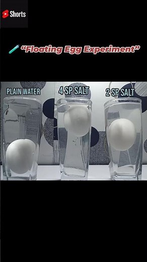 “Floating Egg Density Experiment Simple Science Trick You Can Try at Home” #ScienceExperiment