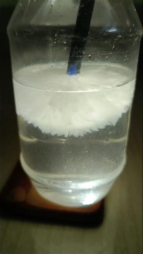Instant Freezing Of Sodium Acetate #shorts