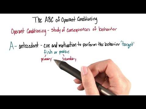 ABCs of operant conditioning - Intro to Psychology