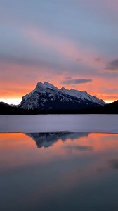 2.2K views · 217 reactions | The Visitor Services team is back this...