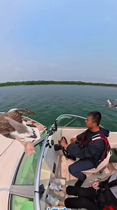 fly | i believe i can fly