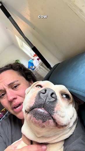Pitbull owner defends bond: “That’s my biological child”