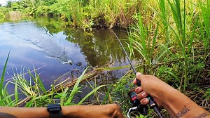 93K views · 473 reactions | Lunok / Snakehead Fishing / Dalag Hunting | Mangyan | Facebook