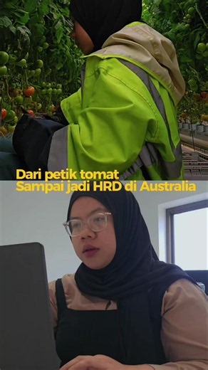 Working Holiday Visa Australia: Strategi Upgrade Diri