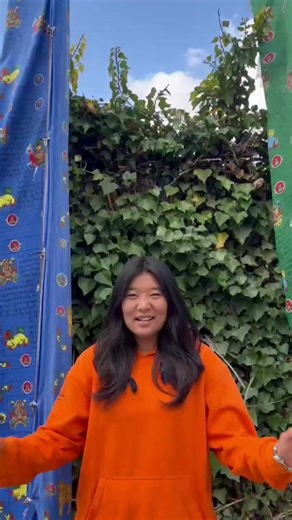 Learning WH-Questions in Sign Language