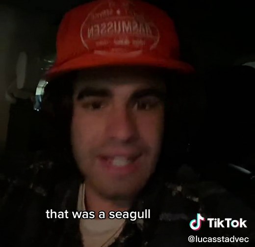 i can hit a whistle note | seagull girl