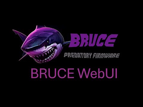 How to send files into Bruce Firmware